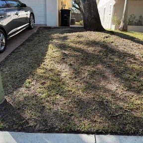 Leaf Removal by WesleyBrothers lawn care LLC reviewed on April 3, 2022