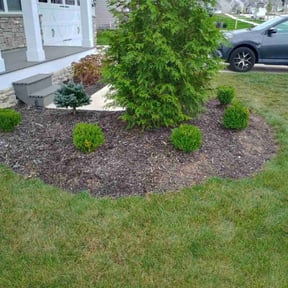 Flower Bed Weeding by Murphy's Lawn Service reviewed on June 4, 2022