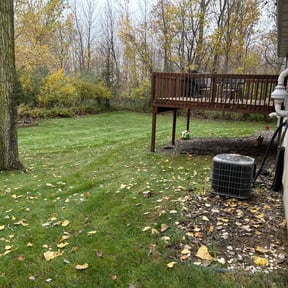 Leaf Removal by Bitcoin Lawn reviewed on August 2, 2022