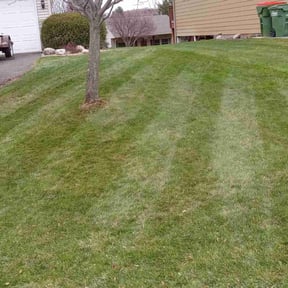 Leaf Removal by G&G landscaping LLC reviewed on July 6, 2022