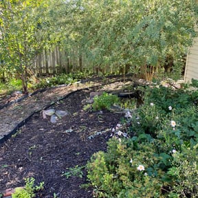 Weeding by Texas Services SA reviewed on March 25, 2022