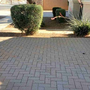 Bush Trimming by WesleyBrothers lawn care LLC reviewed on May 1, 2023