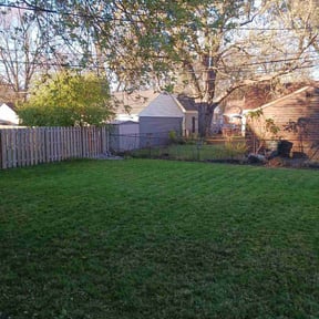 Leaf Removal by JBB's landscaping reviewed on August 3, 2022