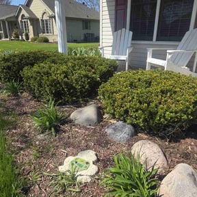 Bush Trimming by TruGreen LawnCare reviewed on August 15, 2025