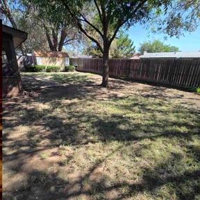 Leaf Removal by Clarkson lawn care reviewed on May 24, 2022