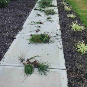 Flower Bed Weeding by TFR Landscaping reviewed on May 27, 2022