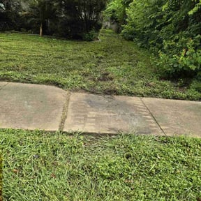 Cleanups by Carlos PRADO reviewed on March 21, 2025