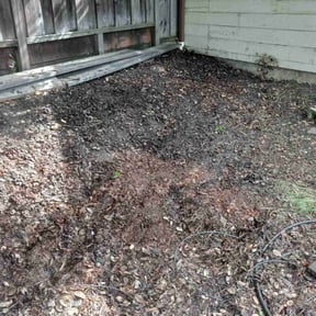 Cleanups by Darrie reviewed on July 9, 2022