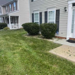 Weed Pulling by Household Maintenance & Lawn Care Services reviewed on December 16, 2024