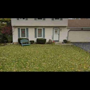 Bush Trimming by Brett's Lawn Service reviewed on May 16, 2019