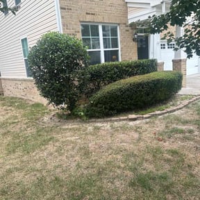 Bush Trimming by A Helping Hand Services LLC reviewed on April 28, 2025