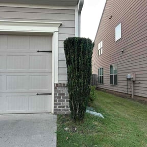 Bush Trimming by Lawn Hub reviewed on July 13, 2022