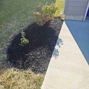 Mulching by T.R. Integrated Services reviewed on June 4, 2022