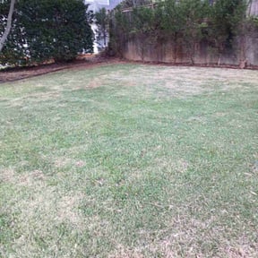 Leaf Removal by Islandbreezelawns reviewed on April 24, 2022