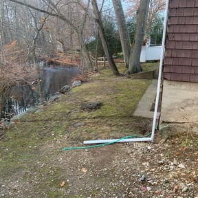 Leaf Removal by Pro Kutz reviewed on June 20, 2022
