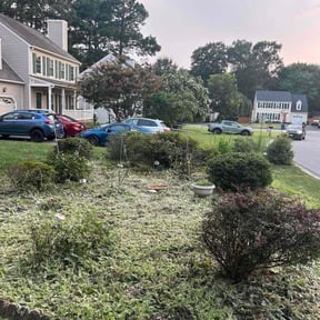Bush Trimming by Green Horizon Lawn Care LLC. reviewed on April 22, 2025
