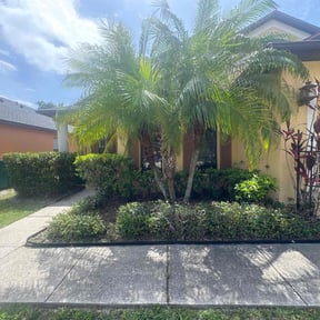 Bush Trimming by Parks Lawn & Landscaping LLC reviewed on July 18, 2022