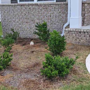 Flower Bed Weeding by Triple S Cuts & Cleanouts reviewed on June 21, 2022