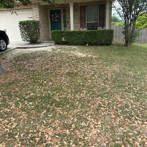 Bush Trimming by Mow & Go reviewed on May 16, 2022