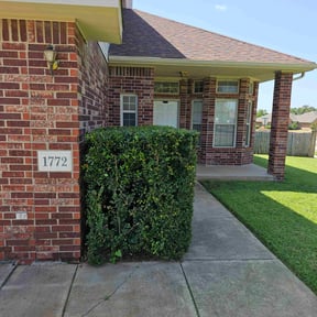 Bush Trimming by Césped Lawn Care reviewed on September 15, 2020