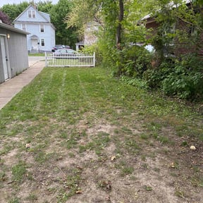 Leaf Removal by Lake Area Landscaping reviewed on August 17, 2024