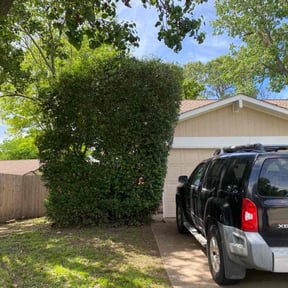 Bush Trimming by TruGreen LawnCare reviewed on April 22, 2025