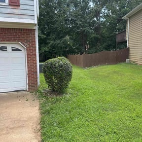 Bush Trimming by A+ Lamonds lawn&landscape reviewed on July 24, 2022