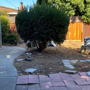 Bush Trimming by All Stars Landscaping LLC reviewed on July 5, 2022