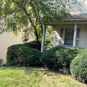 Bush Trimming by VanderWaarden Lawn Services LLC reviewed on October 20, 2021