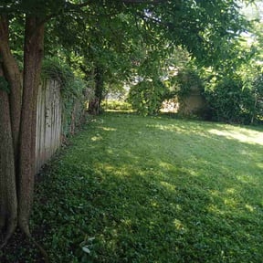 Bush Trimming by JT Lawn Care reviewed on November 8, 2022