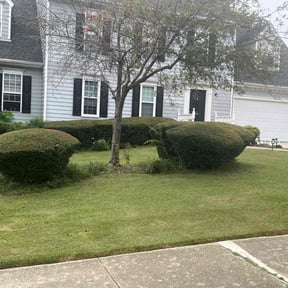 Bush Trimming by Gold Quality Lawn Care Service reviewed on January 14, 2025