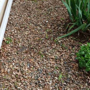 Flower Bed Weeding by Black horse reviewed on August 8, 2025