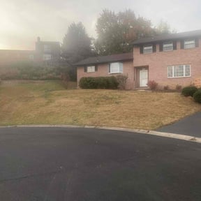 Leaf Removal by On the mark lawn service llc reviewed on January 16, 2022
