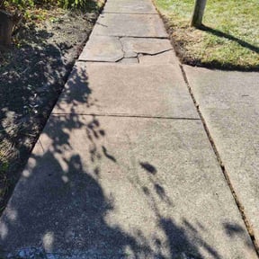 Cleanups by Green Earth Lawn and snow LLC reviewed on November 19, 2024