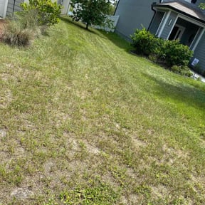 Cleanups by DeShawn's Lawn Care reviewed on June 6, 2022