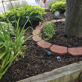 Mulching by M&M Lawn Care reviewed on May 20, 2022