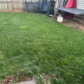 Cleanups by Lawn services JAV reviewed on June 2, 2025