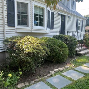 Bush Trimming by Lightfoot Enterprises reviewed on June 4, 2022