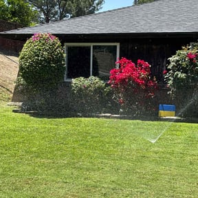 Bush Trimming by White Glove Lawncare Company reviewed on June 3, 2022