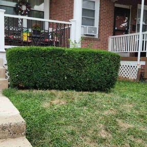 Bush Trimming by J&S lawn care and property maintenance reviewed on June 1, 2025