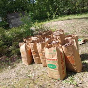 Leaf Removal by Westveld Mowing reviewed on May 23, 2022