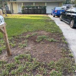 Leaf Removal by Better Price Lawn Service of Central Florida, LLC reviewed on June 12, 2025