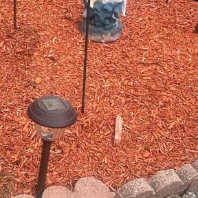 Flower Bed Weeding by Green River Landscape, LLC reviewed on September 10, 2021