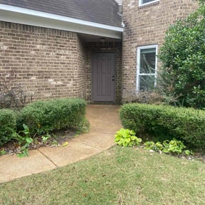 Bush Trimming by SMG LAWN CARE LLC reviewed on July 30, 2025