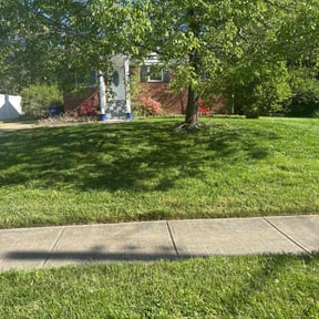 Cleanups by Landscapedeleon reviewed on May 2, 2022