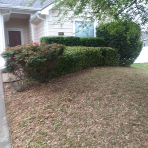 Bush Trimming by AlwaysTheBest LawnCare reviewed on August 8, 2024