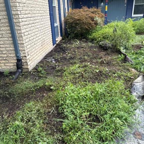Weeding by Lawn Care reviewed on May 31, 2023