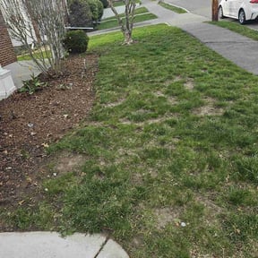 Leaf Removal by Local Green Lawn Care LLC reviewed on July 1, 2022