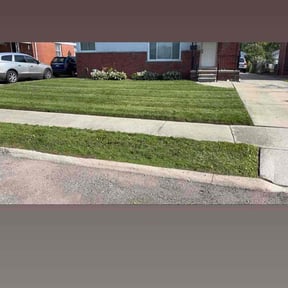 Leaf Removal by Goodfellas reviewed on June 15, 2022