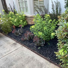 Mulching by Local Green Lawn Care LLC reviewed on June 28, 2022